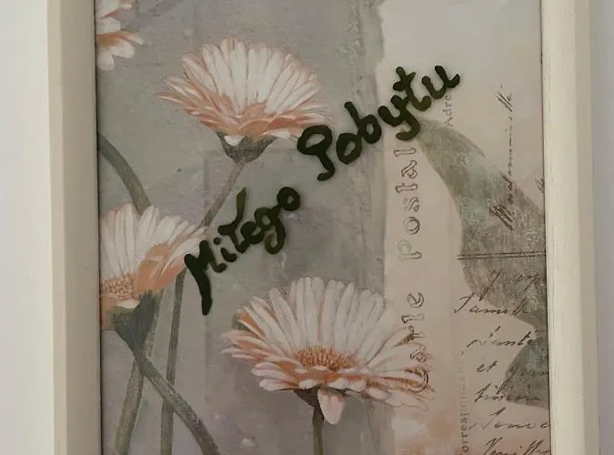 Mira 200 Metrów Od Morza Międzyzdroje